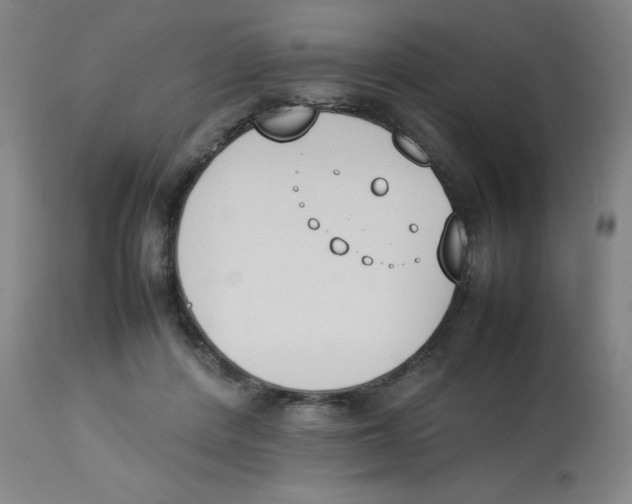 X0000112850408200909181741