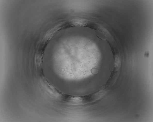 X0000112850409200909181741