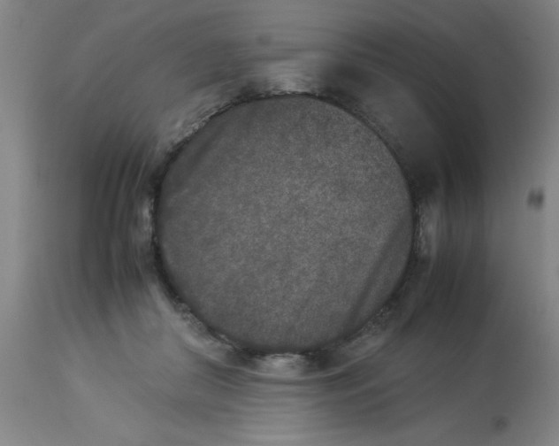 X0000112850410200909181741