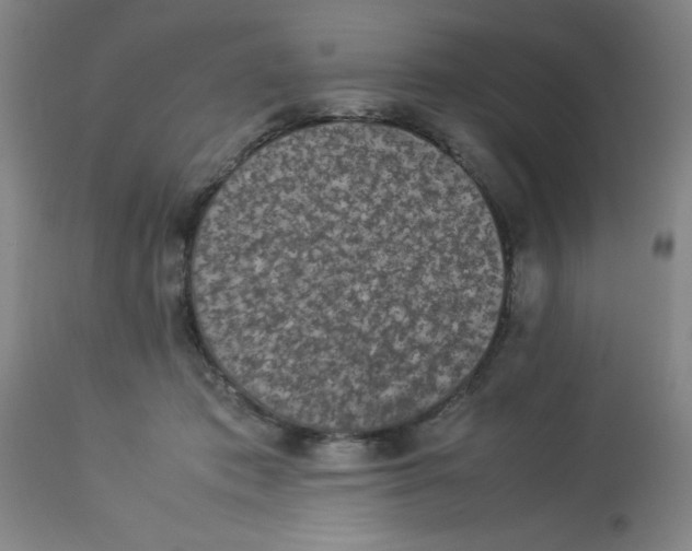 X0000112850413200909181741