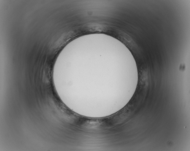 X0000112850414200909181741