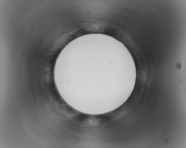 X0000112850416200909181741