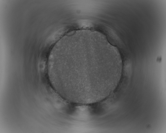 X0000112850417200909181741