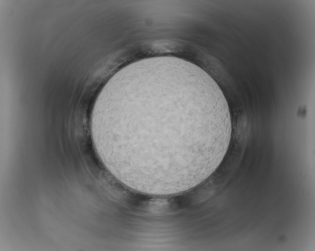 X0000112850418200909181741