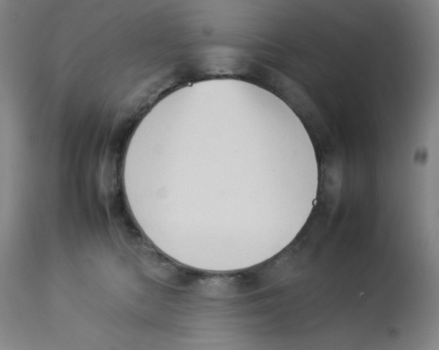 X0000112850422200909181741