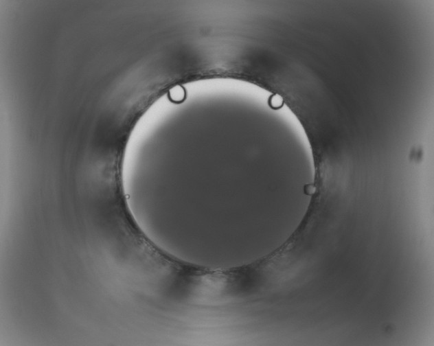 X0000112850423200909181741