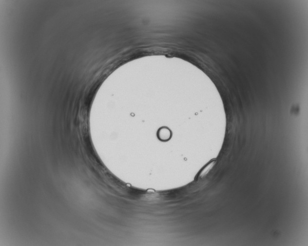 X0000112850425200909181741