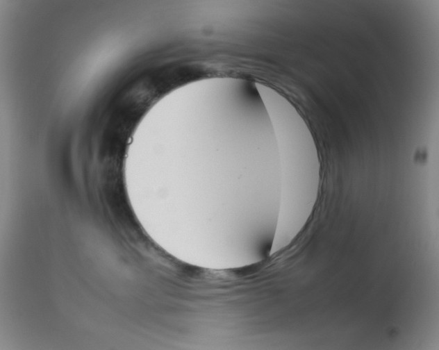 X0000112850429200909181741