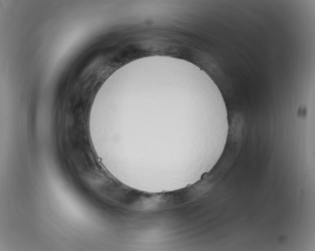 X0000112850430200909181741