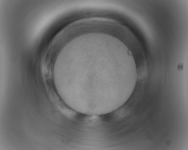 X0000112850431200909181741