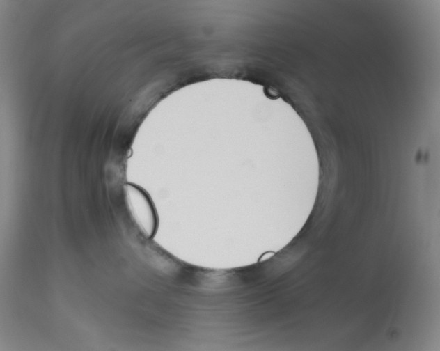 X0000112850432200909181741