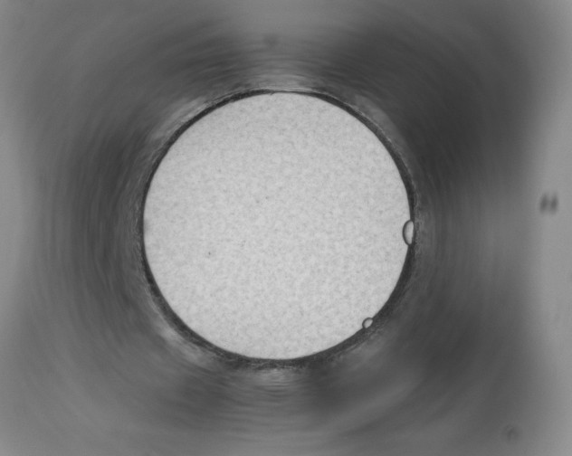 X0000112850433200909181740