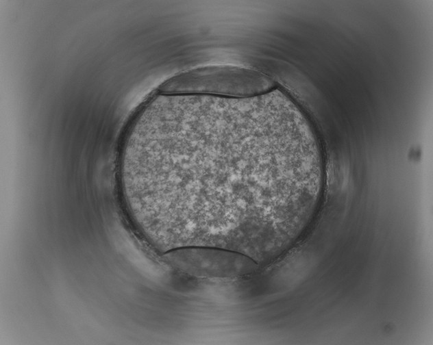 X0000112850436200909181740