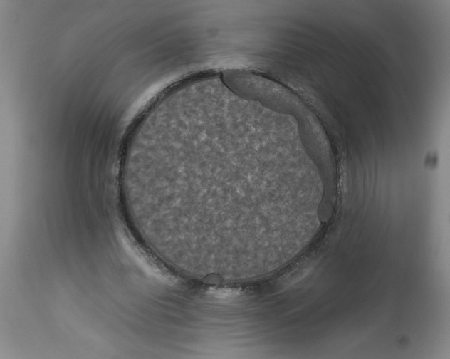 X0000112850440200909181740