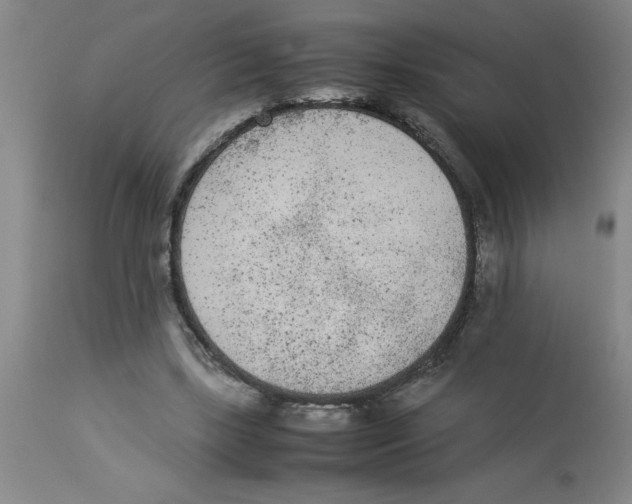 X0000112850443200909181740