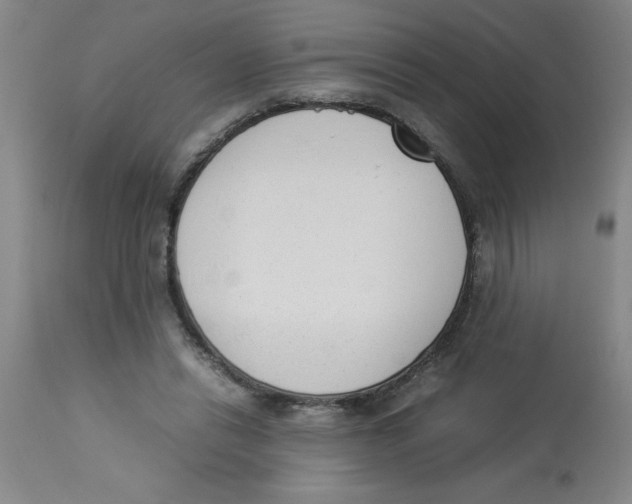 X0000112850446200909181740