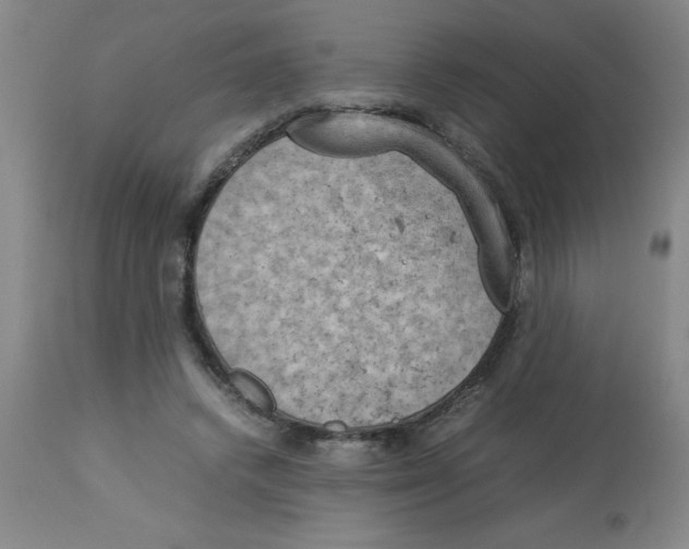 X0000112850448200909181740