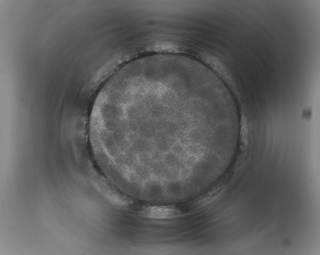 X0000112850449200909181740