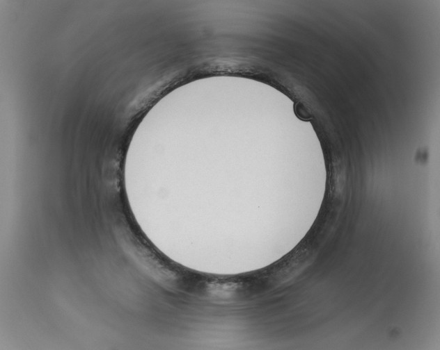 X0000112850450200909181740