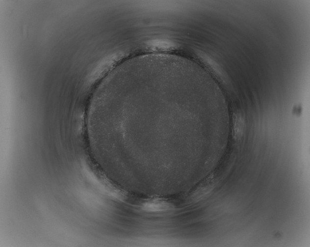 X0000112850451200909181740