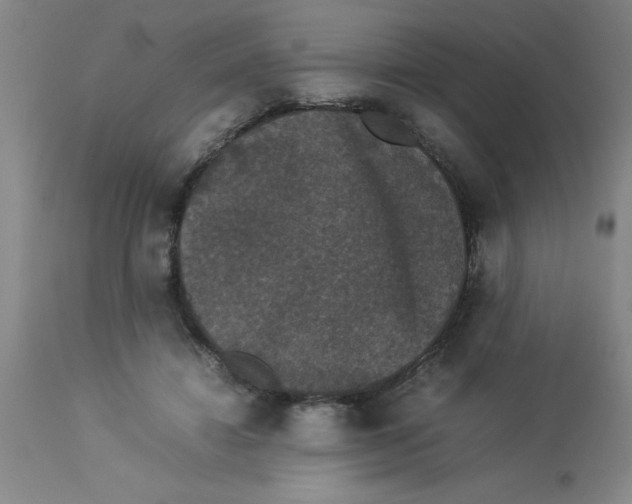 X0000112850452200909181740