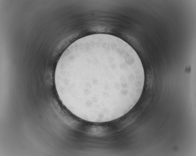 X0000112850453200909181740