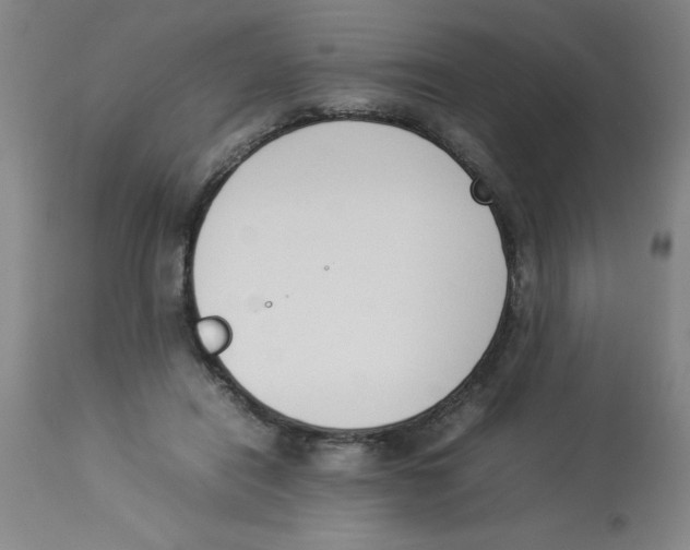 X0000112850454200909181740