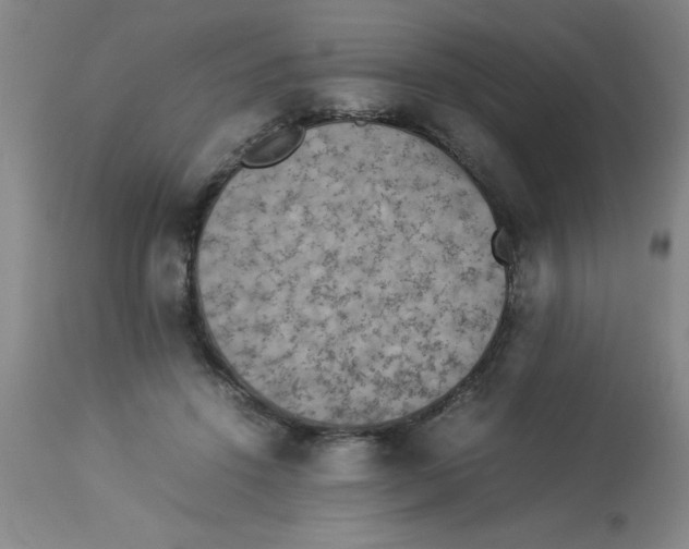 X0000112850456200909181740