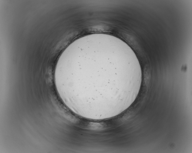 X0000112850457200909181740