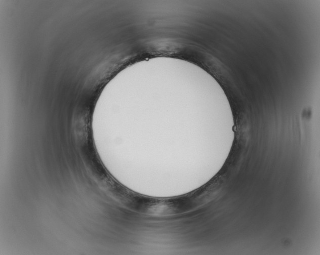 X0000112850460200909181740