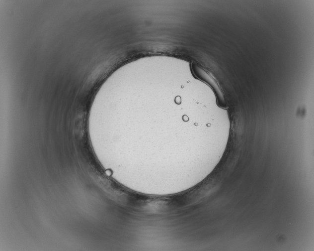 X0000112850462200909181740