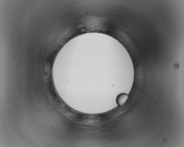 X0000112850463200909181740