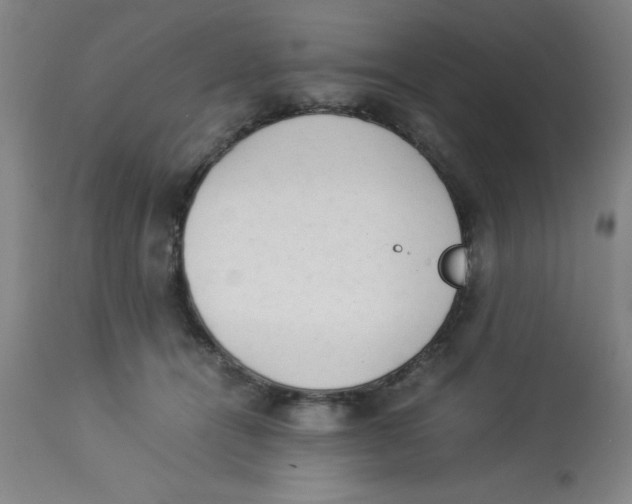 X0000112850464200909181740