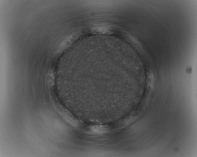 X0000112850465200909181740