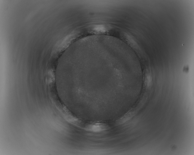 X0000112850467200909181740