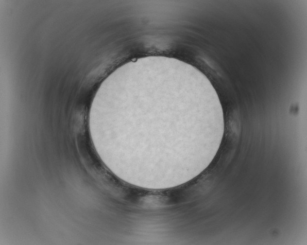 X0000112850468200909181740