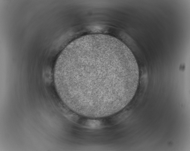 X0000112850469200909181740