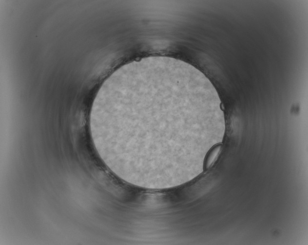 X0000112850472200909181740