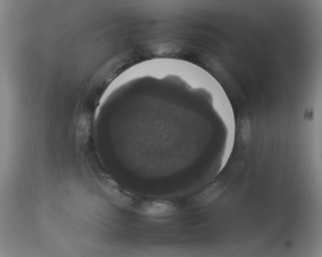 X0000112850475200909181741