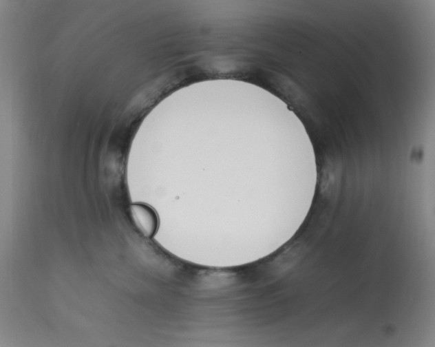 X0000112850476200909181741