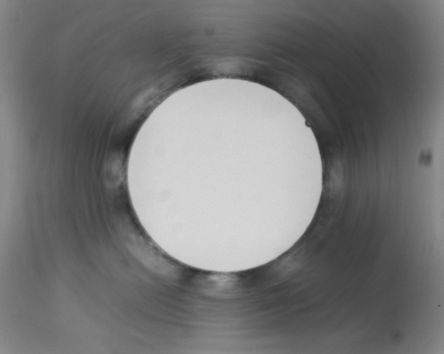 X0000112850478200909181741