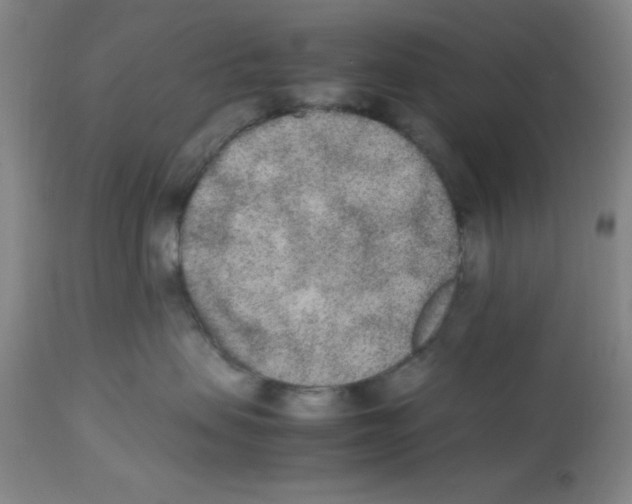 X0000112850479200909181741