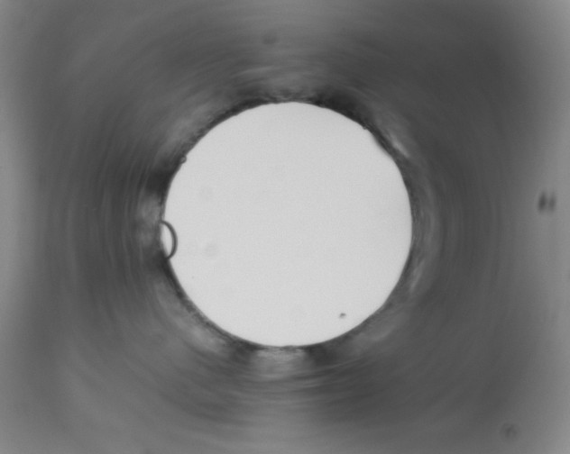 X0000112850480200909181741