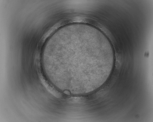 X0000112850482200909181740