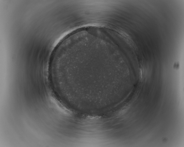 X0000112850484200909181740