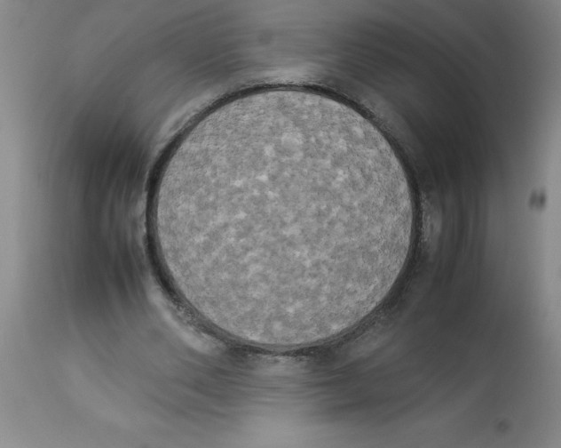 X0000112850486200909181740