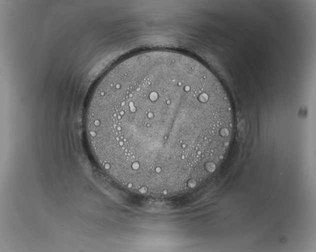 X0000112850487200909181740