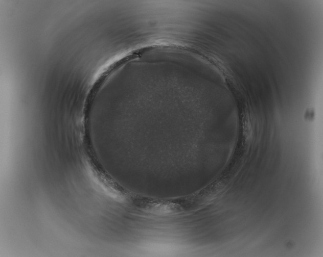 X0000112850488200909181740