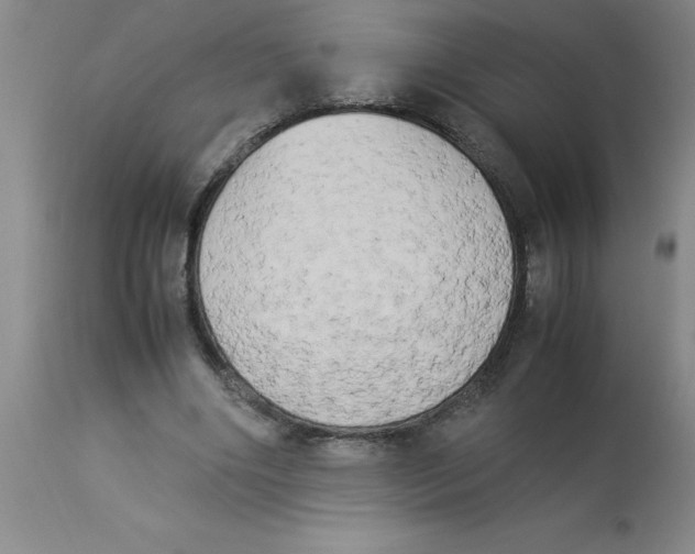 X0000112850490200909181740