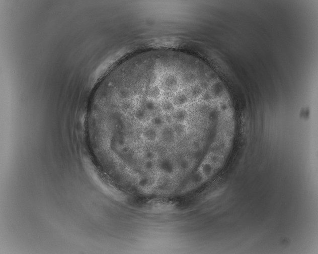 X0000112850491200909181740